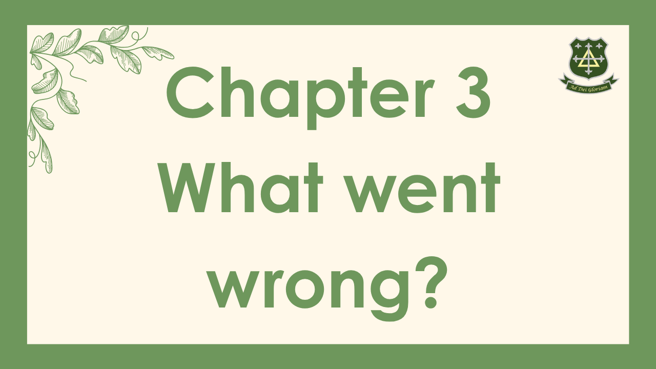 Chapter 3: What went wrong?