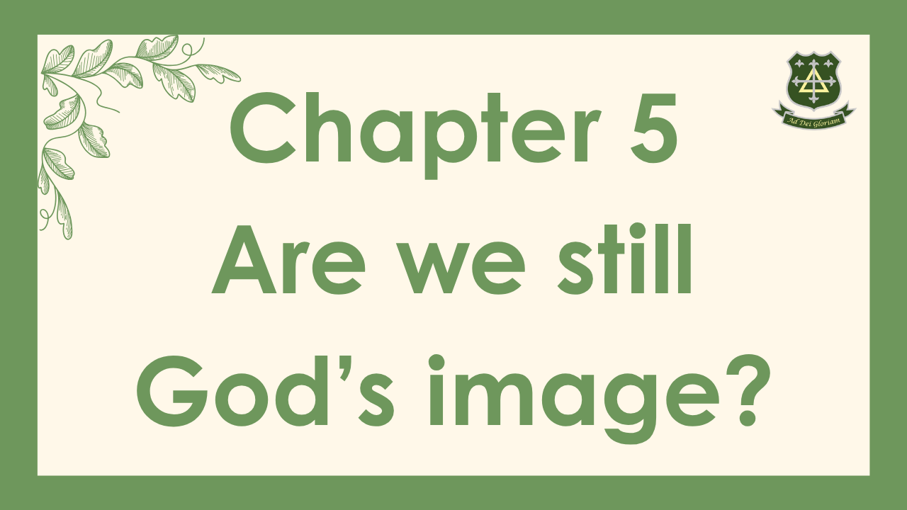 Chapter 5: Are we Still God’s image?